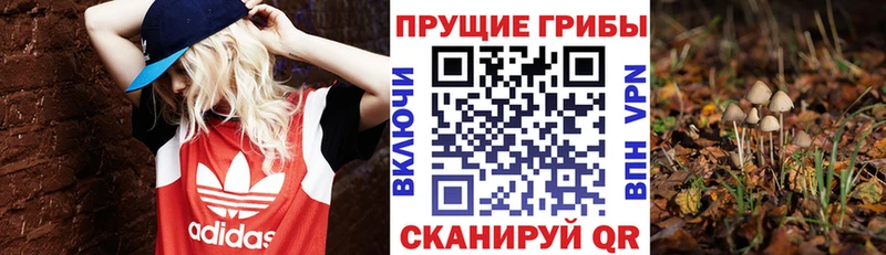 Купить  Балей  Псилоцибиновые грибы мухоморы 